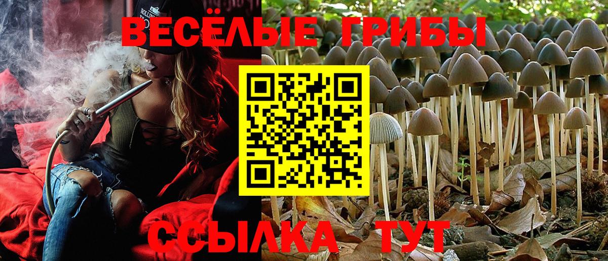 Комсомольск-на-Амуре  Галлюциногенные грибы прущие грибы  Галлюциногенные грибы MAGIC MUSHROOMS  Вход с VPN 